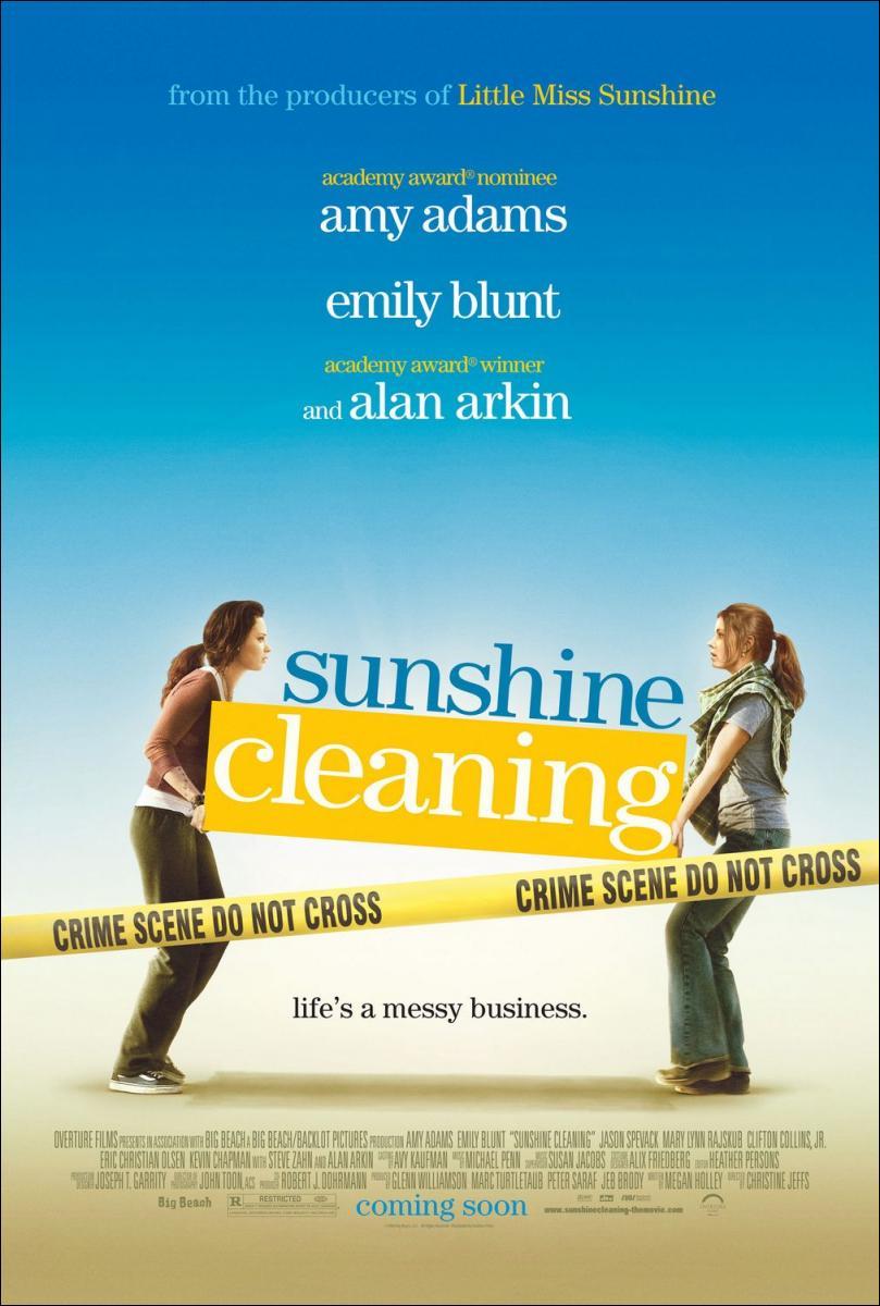 Sunshine_Cleaning-993531240-large